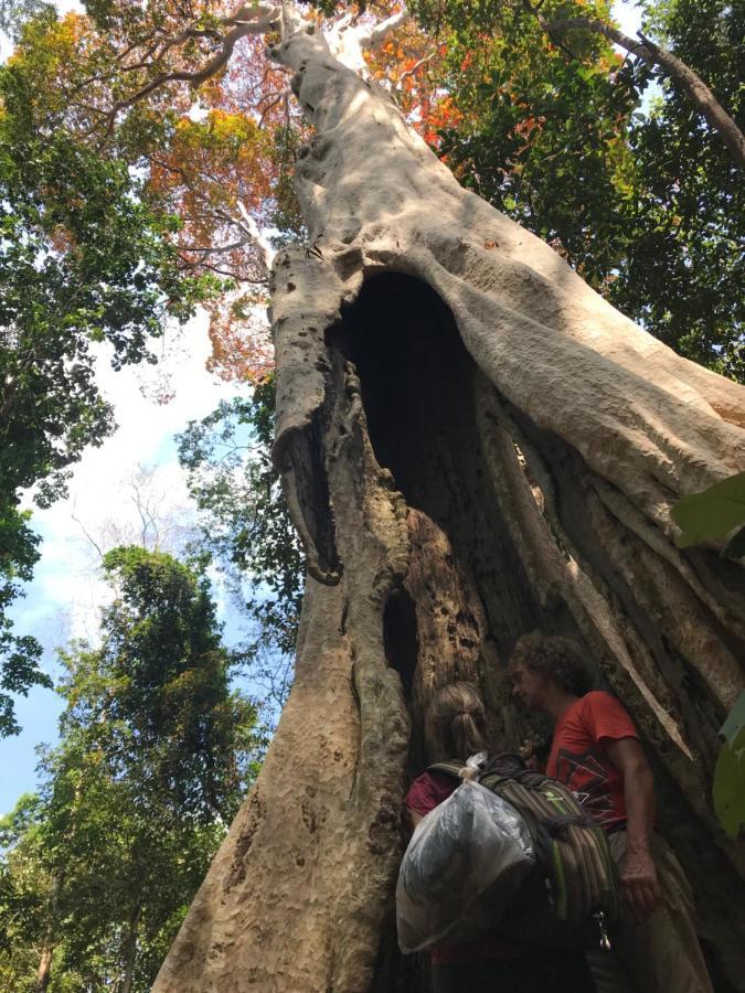 Happy Homestay Banlung & Trekking Eksteriør billede